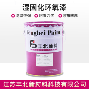 湿固化环氧漆1.jpg
